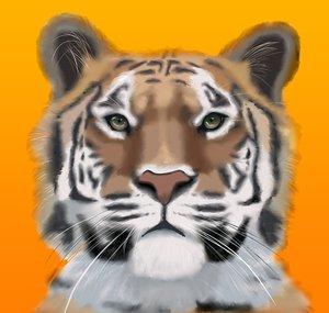 Zoo-Erlebnis