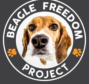 Beagle Freedom Project