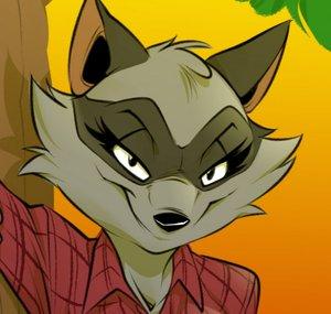 C_Raccoon23