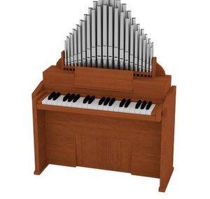 Femboy Organist