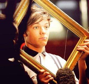 OneDirectionHarryFan