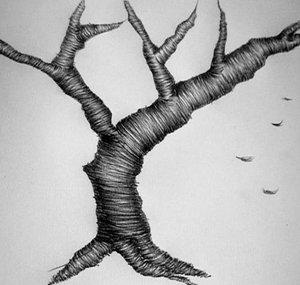 Otsalia