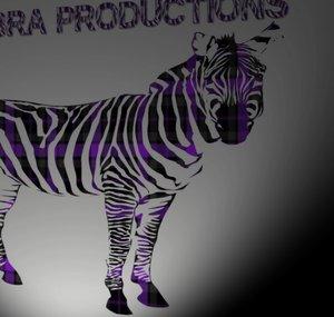 Plaid Zebra