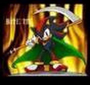 ShadowtheHedgehog674