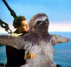 Sloth melts my heart away.