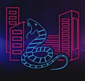 SnakeCity