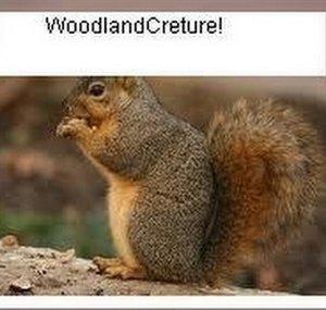 WoodlandCreture