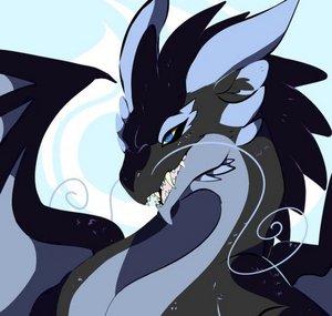 KingxDraguen013