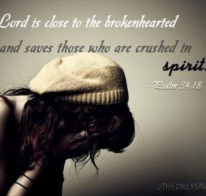 Shekinah Wisdom