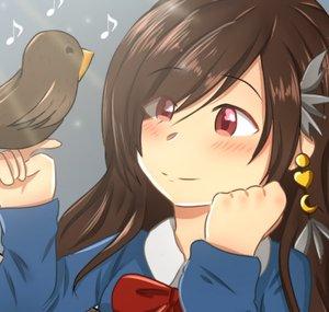 Shuu Kutsu