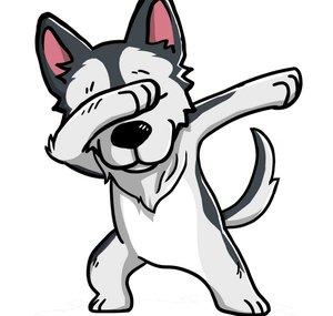SKYTHEHUSKY11