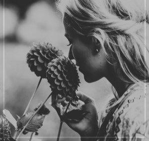 winter's tale
