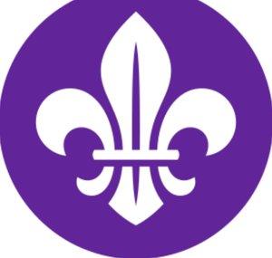 World Scouting