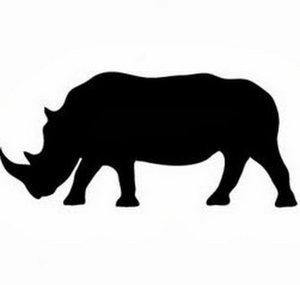 BefriendingRhinos