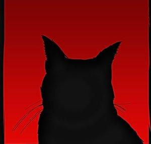 CatMoo