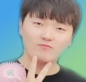 FEFEMZ