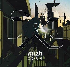 mizhs