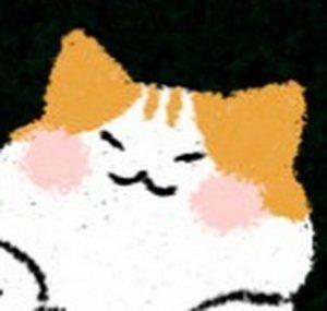 Peanut Cat