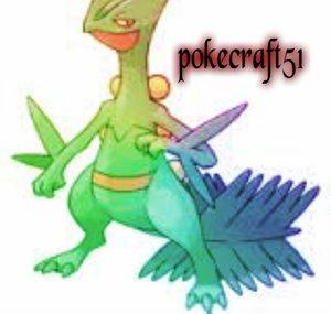 pokecraft51