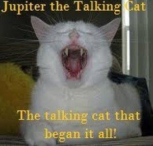 Talking Cats!