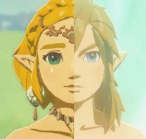 Zelink Gamer