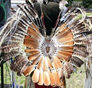 1BigCREE1Redtail