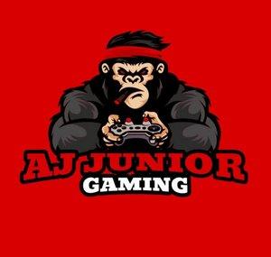 AJ Junior