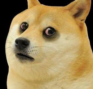 Dog Water Gaming 