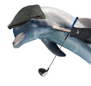 dolphon