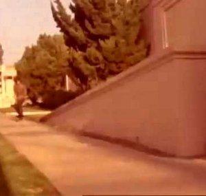 FeelFreeFilms09