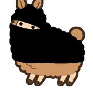 FluffyNinjaLlama