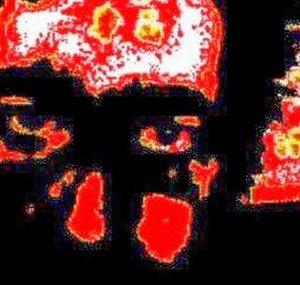 Gabiotta