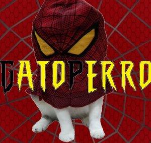 Gato Perro