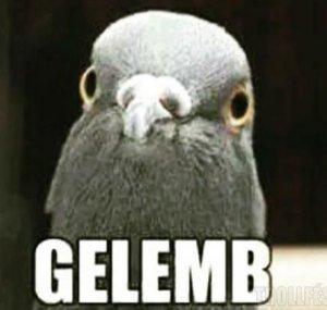 Gelemb Channel