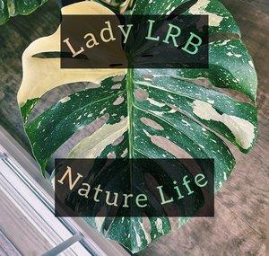 Lady LRB - Nature Life