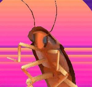 Roach