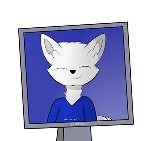 Samoyed Computers