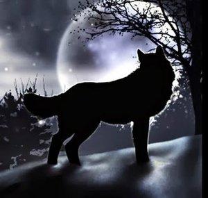 ShadowWolf810