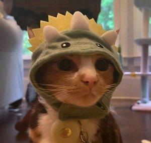 SHARKBITEZ