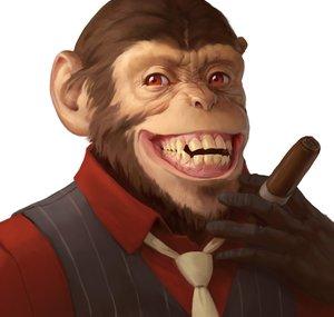 Turd Flinging Monkey