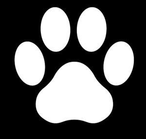 xBenQCatx