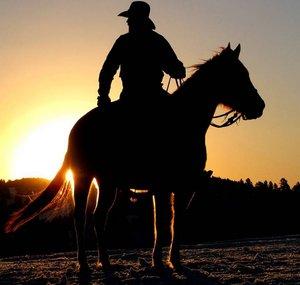 CHUCK - The Country Boy - HOUSTON