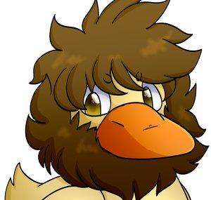 DuckingDuke