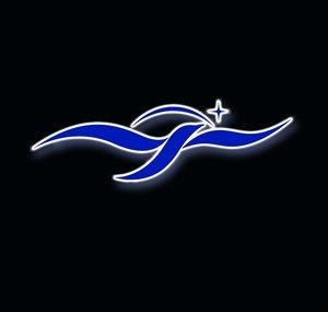 Fantasy Of Flight