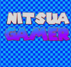 NitsuaGamer