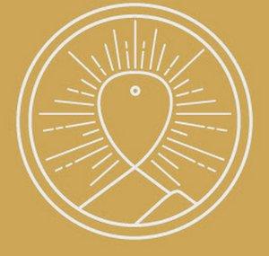 Nu Meditation Music