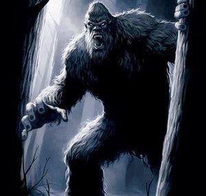 Ohio Bigfoot Hunter