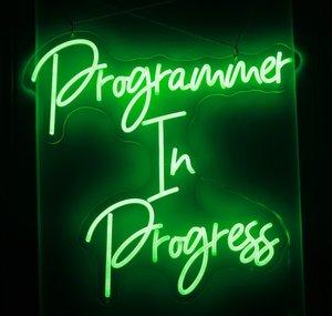 Programmer In Progress