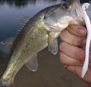 TRK Texas rig king
