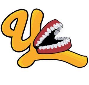 YDLNetwork